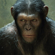 Image for article titled The Gawker Guide to Summer Movies